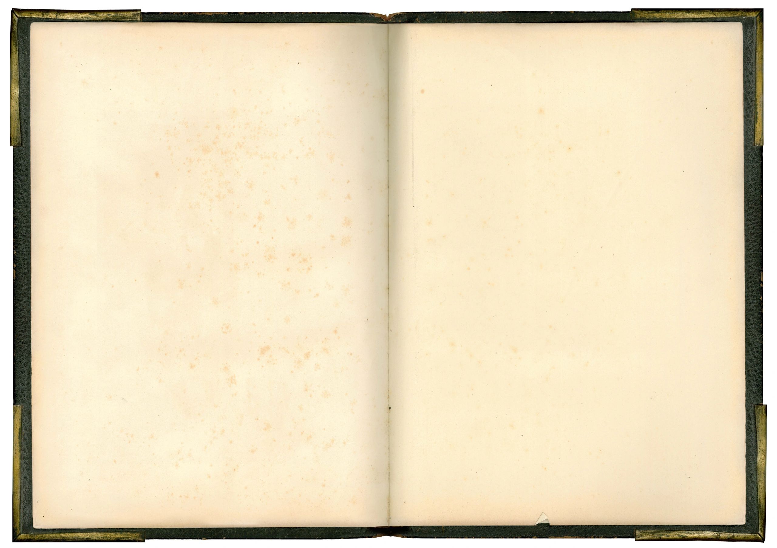 Open fantasy-style book on parchment pages
