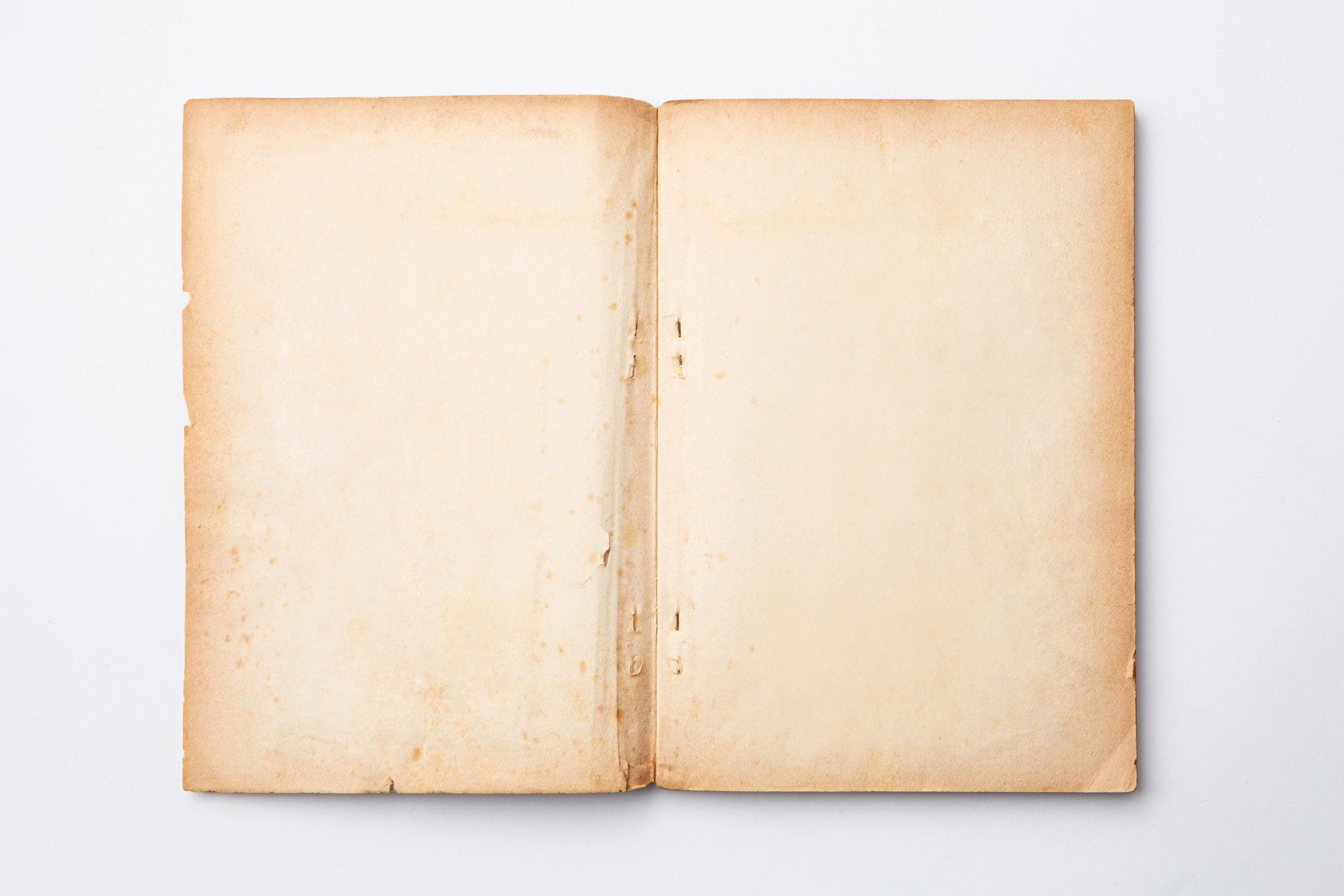Open old book representing campaign NPC records